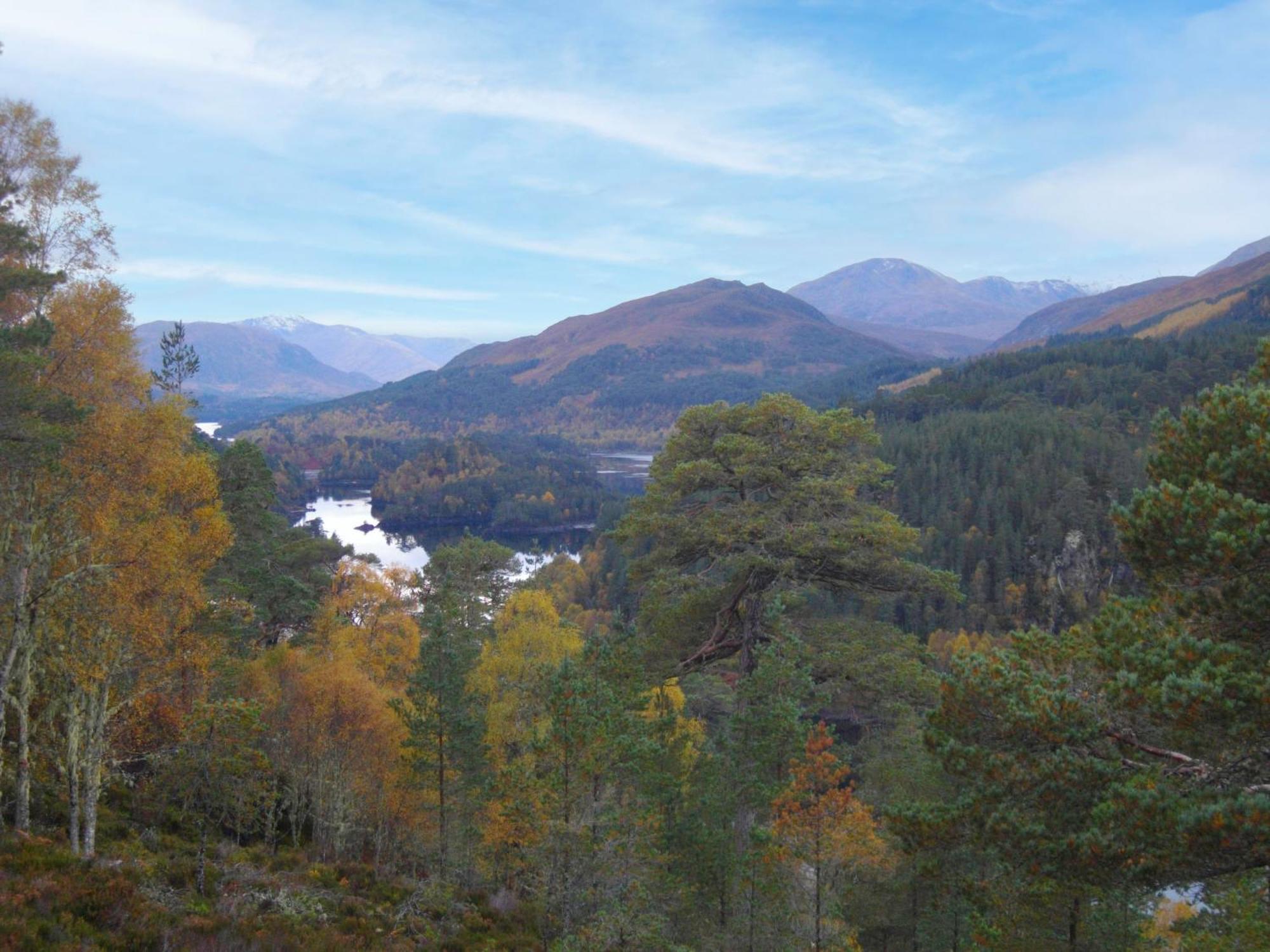 Guisachan At Lochletter Chalé Drumnadrochit